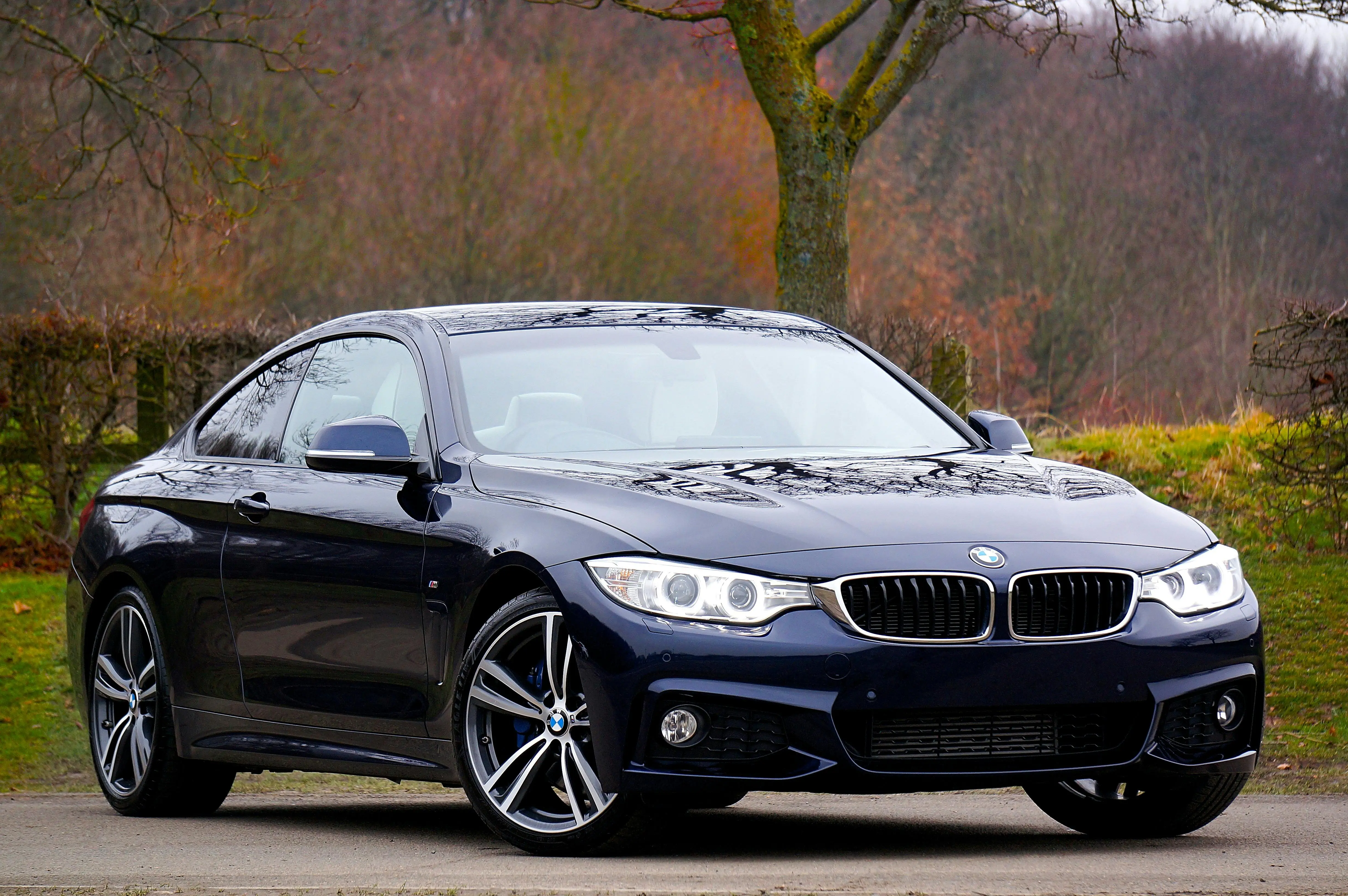 Dunkelblauer BMW